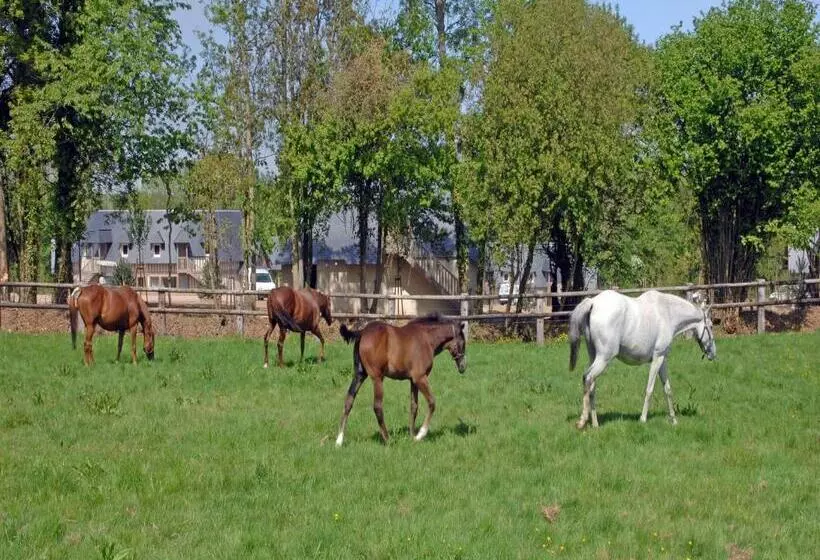 Standard-huone Puutarhanäkymä, Les Manoirs De Tourgeville