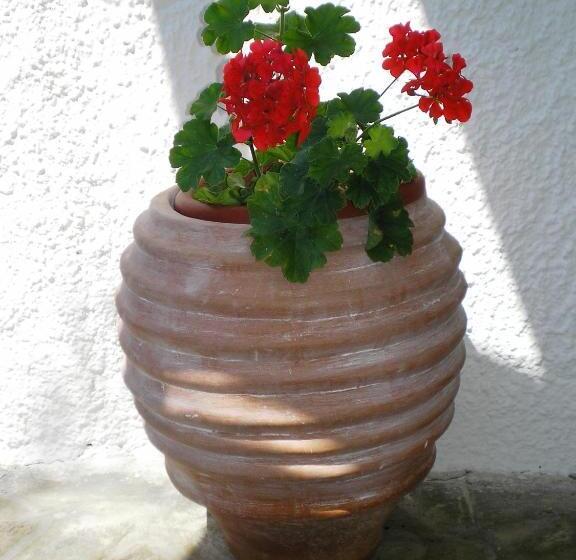 סוויטת ג'וניור נוף לים, Souris