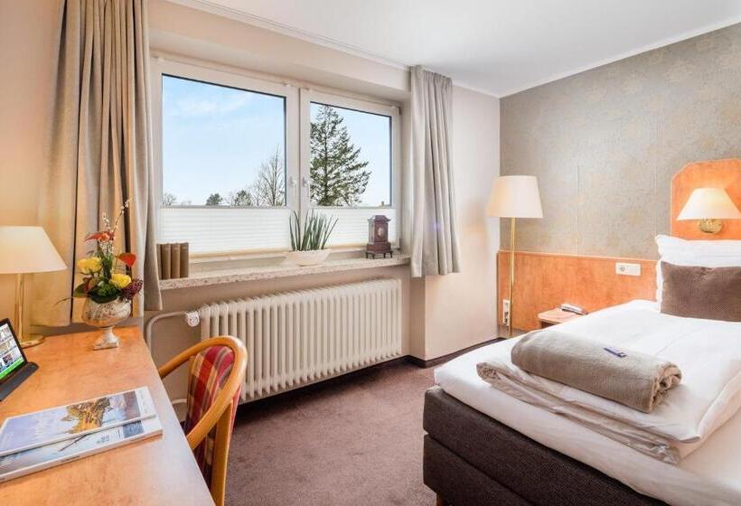 스탠다드 싱글 룸, Stadtidyll & Dependancen