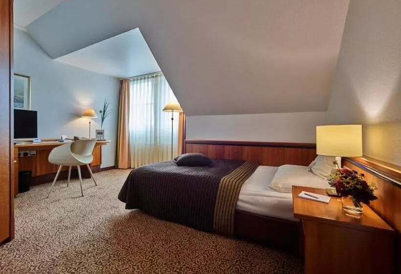 スタンダードシングルルーム, Tandreas Hotel & Restaurant