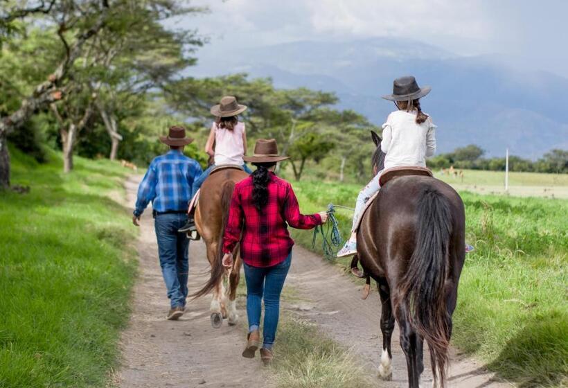 غرفة قياسية رباعية, Hacienda San Francisco