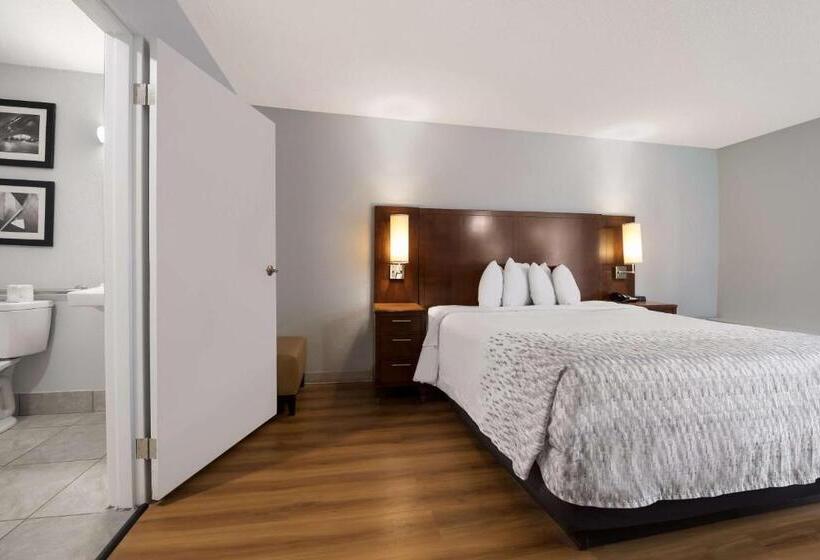Standardzimmer King-Size Bett (behindertengerecht), Econo Lodge