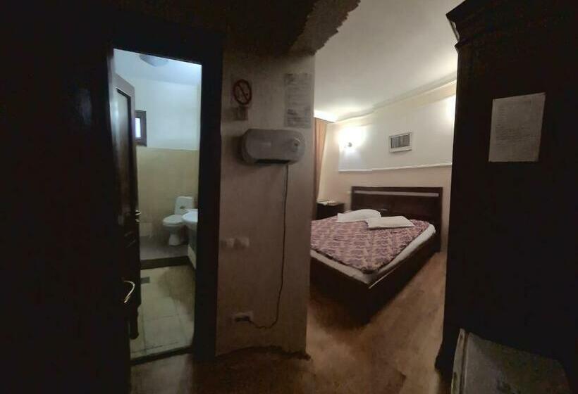 Номер Deluxe Одноместный, Pensiunea La Palia