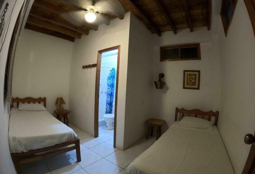 اتاق استاندارد, Hostal Solemare