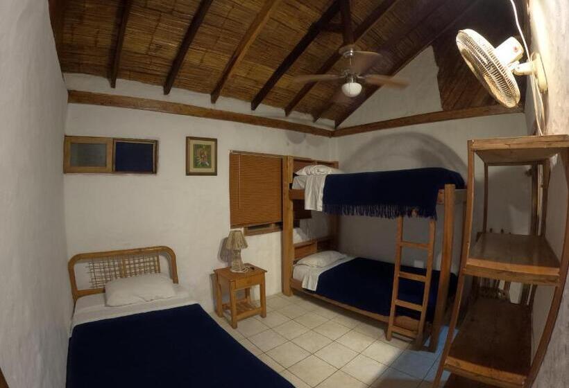 اتاق استاندارد سه نفره, Hostal Solemare