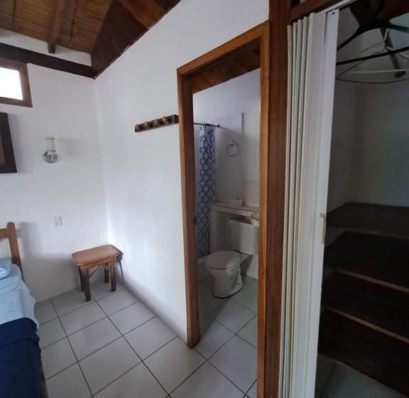 Четырехместный Номер Superior, Hostal Solemare