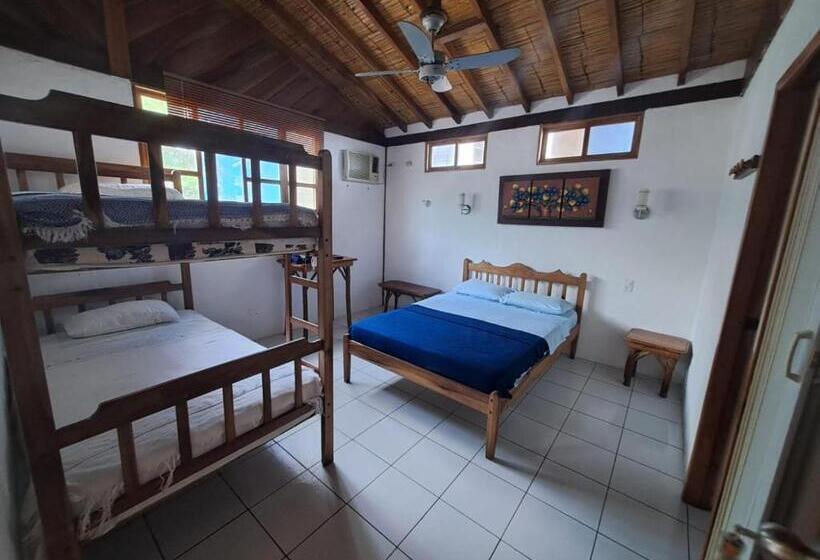 اتاق سوپریور چهار تخته, Hostal Solemare