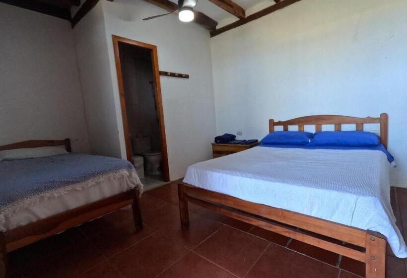 اتاق استاندارد, Hostal Solemare