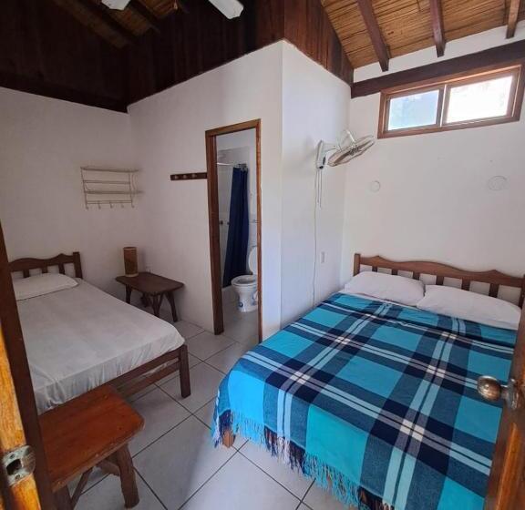 Номер Стандарт, Hostal Solemare