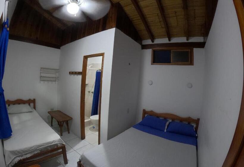 اتاق استاندارد, Hostal Solemare