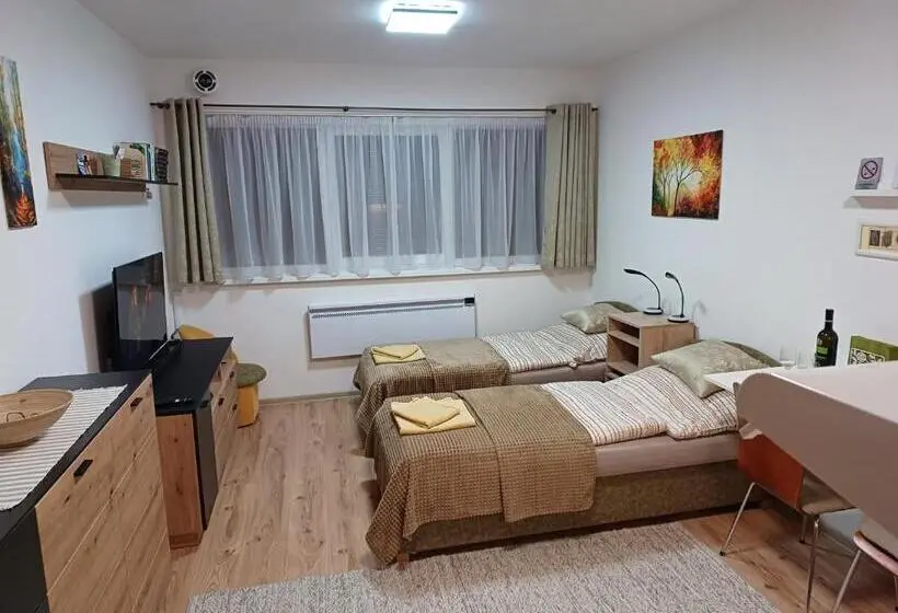 １階の１ベッドルームアパートメント, Apartmán Sedmička Horec