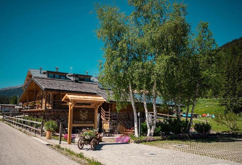 غرفة قياسية, Moie Camere