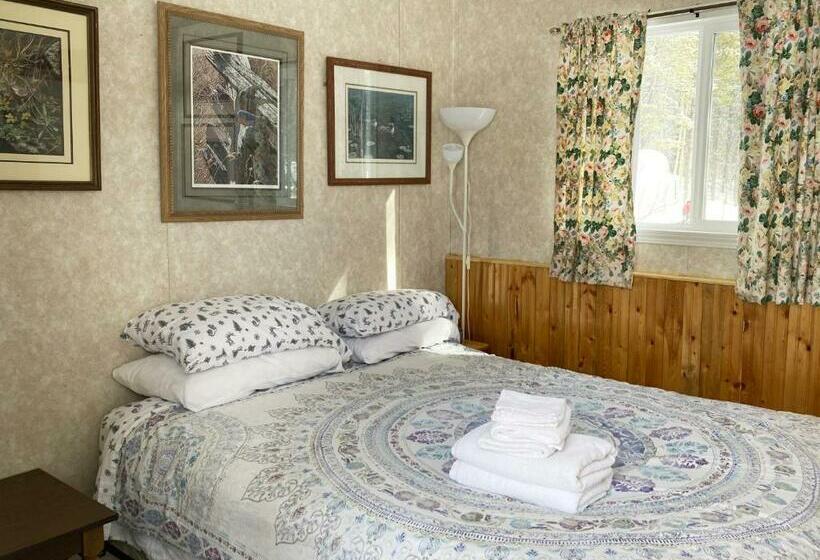 غرفة ديلوكس, Jade City Motel