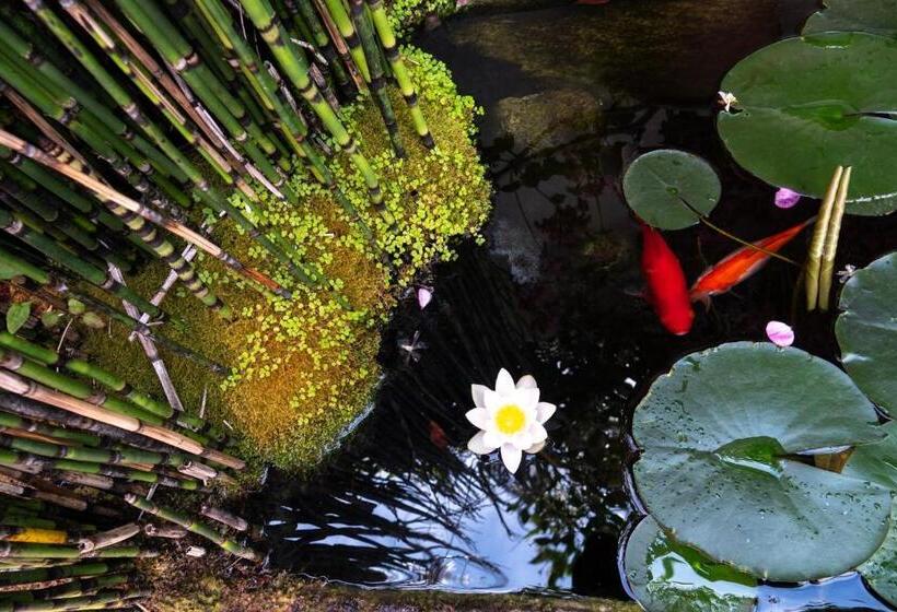 Номер Стандарт с Террасой, La Martinoise Garden