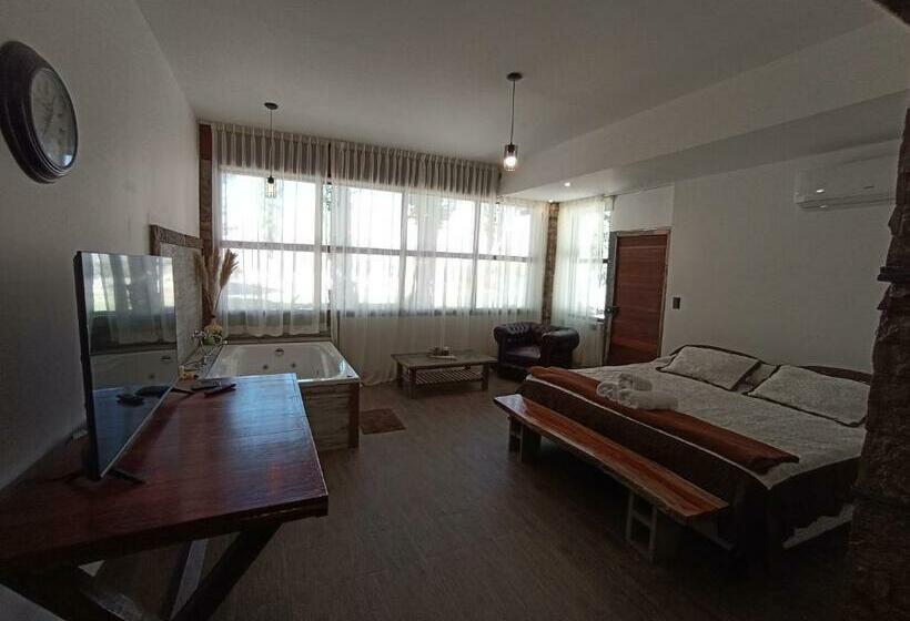 Люкс Повышенной Комфортности, Uspallata Suites