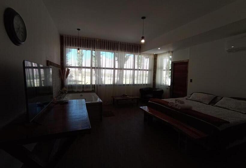 Люкс Повышенной Комфортности, Uspallata Suites