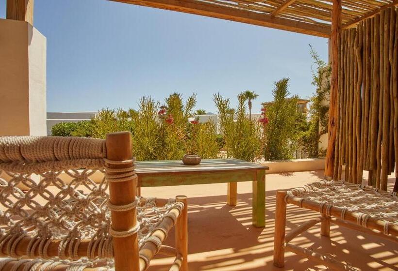 Люкс Вид на Море, Petunia Ibiza, A Beaumier