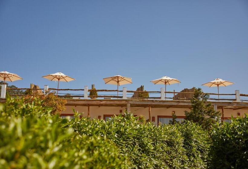 Люкс Вид на Море, Petunia Ibiza, A Beaumier