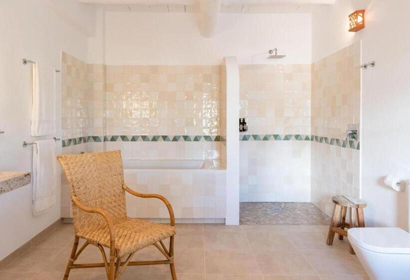 Полулюкс Нижний Этаж, Petunia Ibiza, A Beaumier