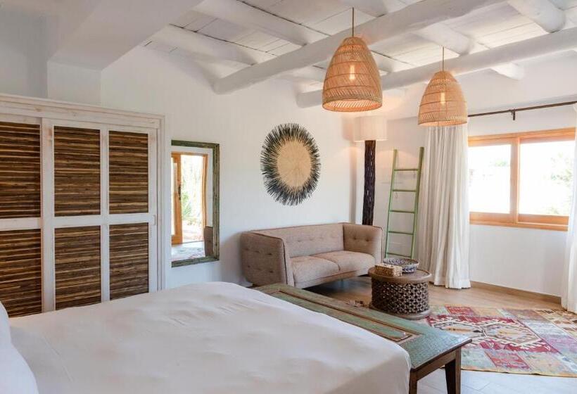 Полулюкс Нижний Этаж, Petunia Ibiza, A Beaumier