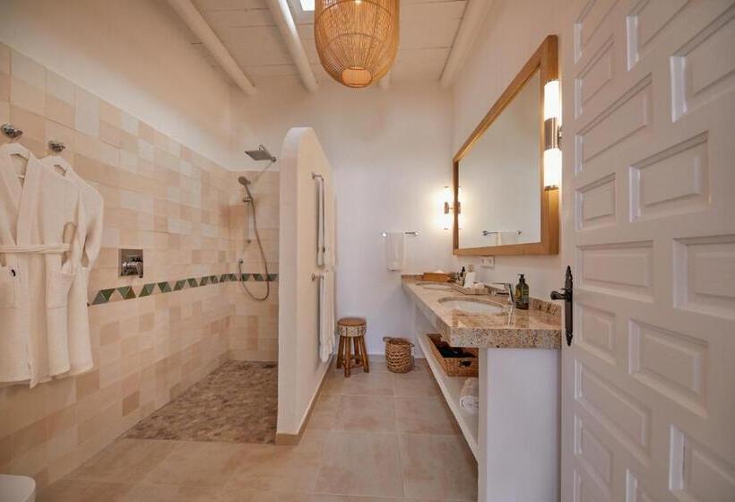 Номер Стандарт, Petunia Ibiza, A Beaumier