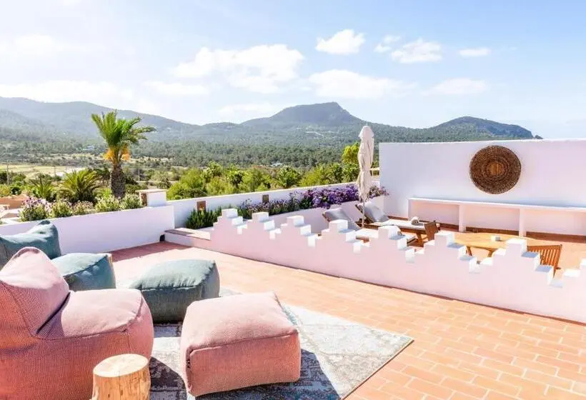 オーシャンビューデラックススイート, Petunia Ibiza, A Beaumier