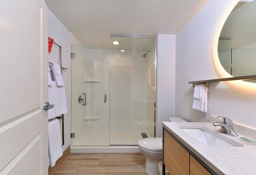 سوییت, Towneplace Suites By Marriott Asheville Downtown