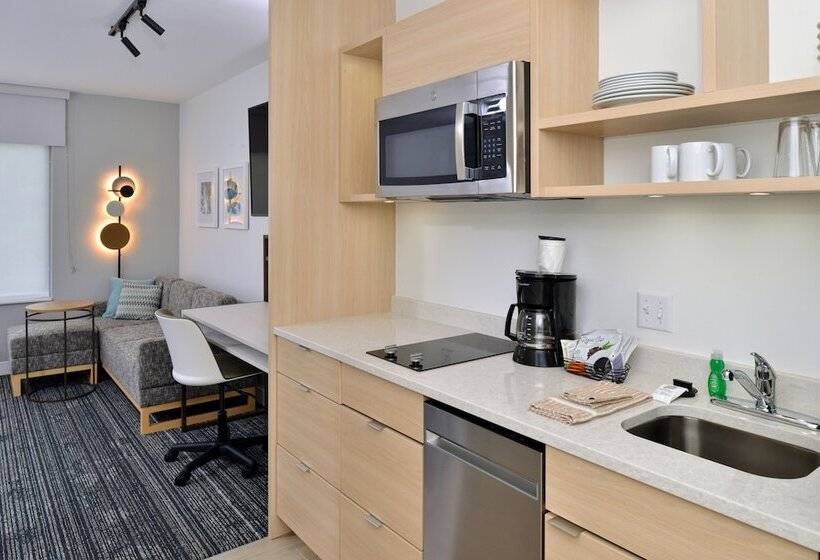 سوییت, Towneplace Suites By Marriott Asheville Downtown