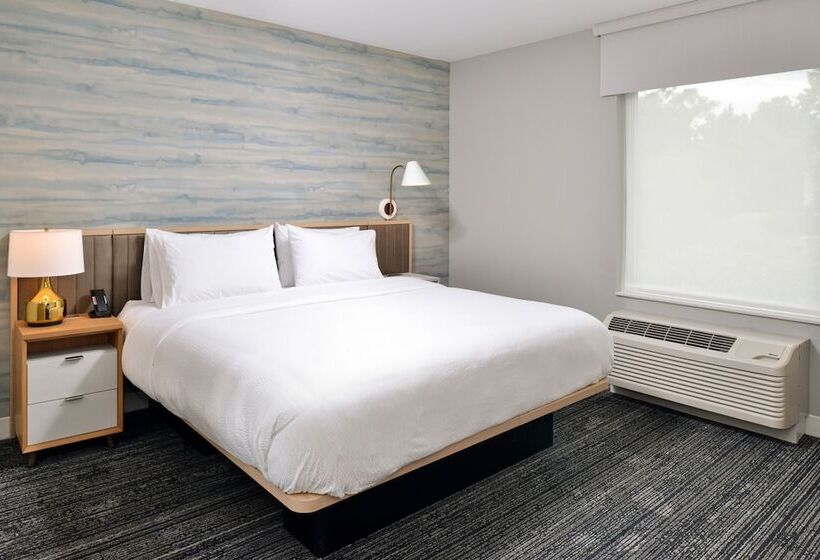 سوییت, Towneplace Suites By Marriott Asheville Downtown