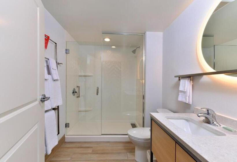 استودیو استاندارد با تخت کینگ, Towneplace Suites By Marriott Asheville Downtown