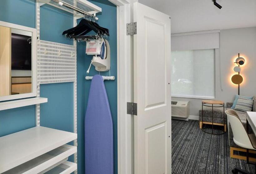 استودیو استاندارد با تخت کینگ, Towneplace Suites By Marriott Asheville Downtown