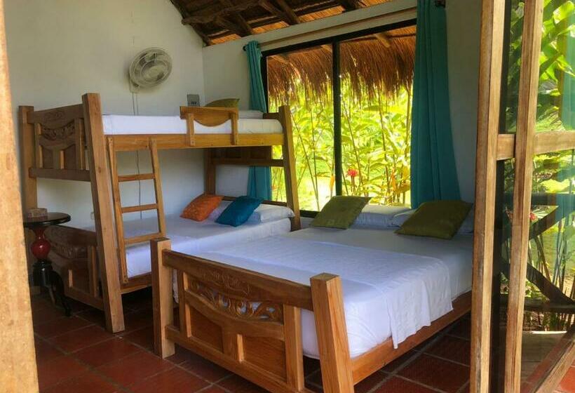 اتاق خانوادگی با چشمانداز باغ, Zakú