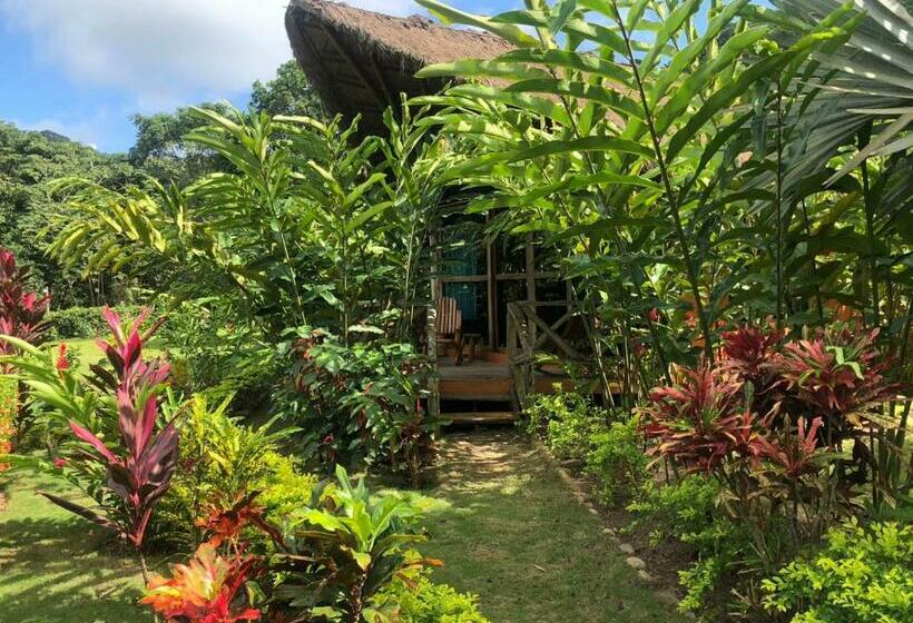 اتاق خانوادگی, Zakú