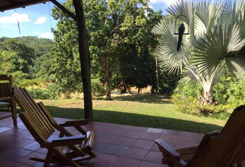 اتاق خانوادگی, Zakú