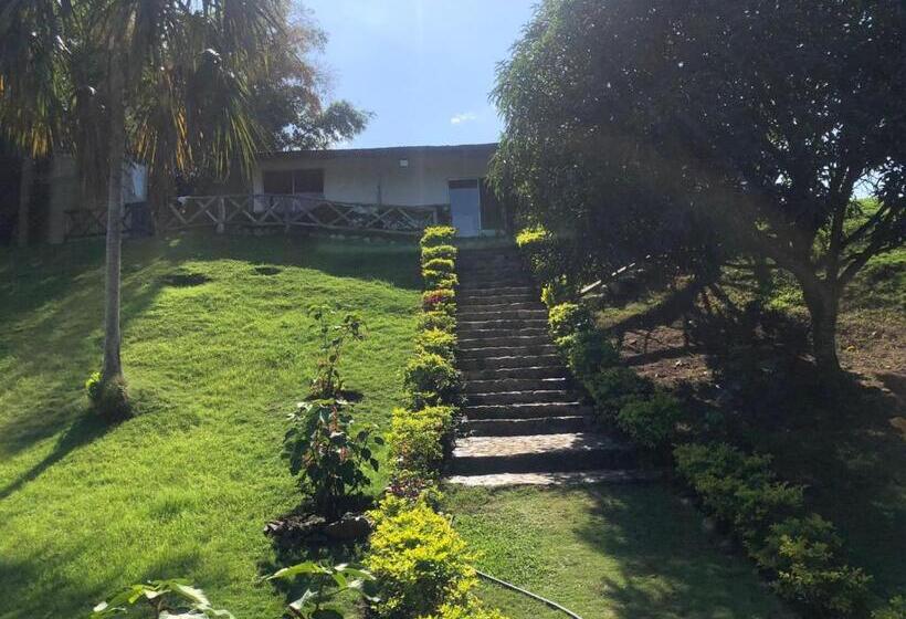 اتاق استاندارد, Zakú