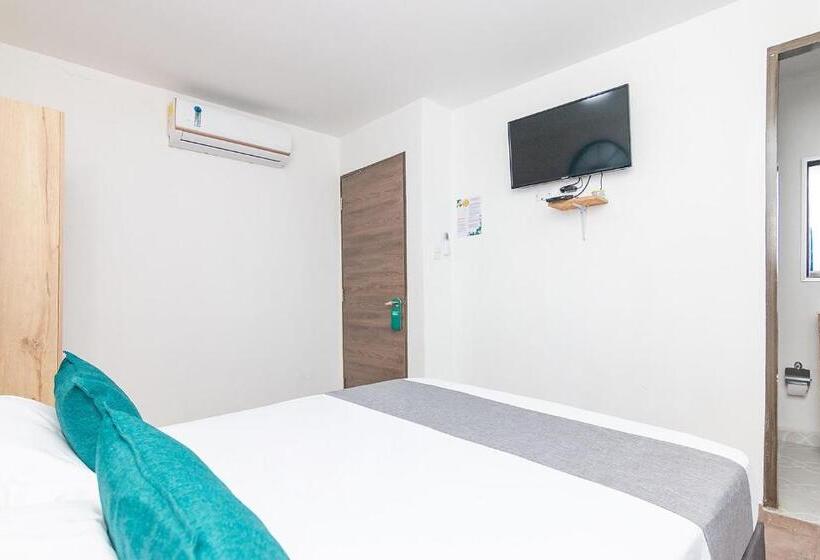 스탠다드 룸, Casa Flor Hostel & Drinks