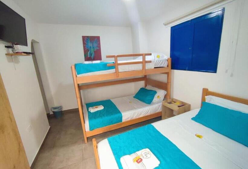 Трехместный Номер Базовый, Casa Flor Hostel & Drinks