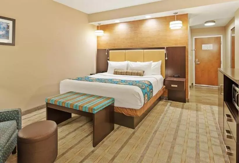 身障者適用キングサイズベッドルーム, Best Western Plus Miami Executive Airport Hotel And Suites