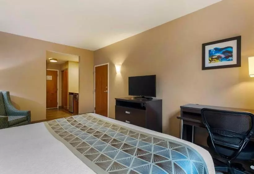 身障者適用キングサイズベッドルーム, Best Western Plus Miami Executive Airport Hotel And Suites