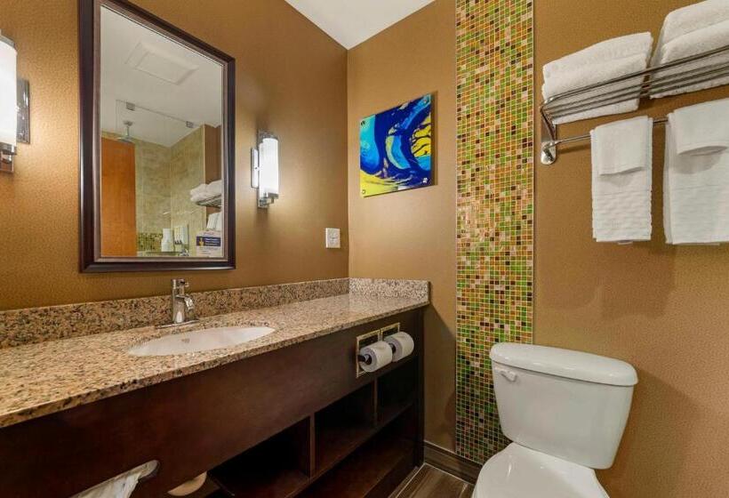 スタンダードルーム, Best Western Plus Miami Executive Airport Hotel And Suites