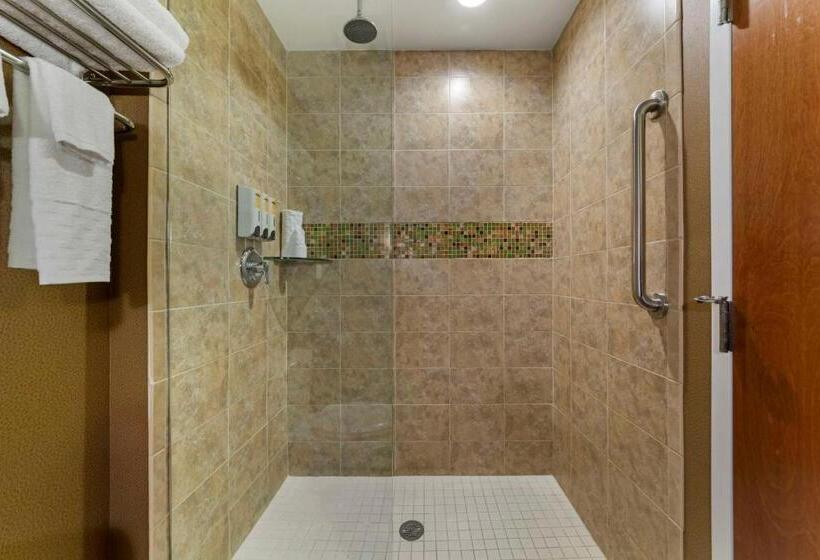 חדר סטנדרט עם מיטת קינג, Best Western Plus Miami Executive Airport Hotel And Suites