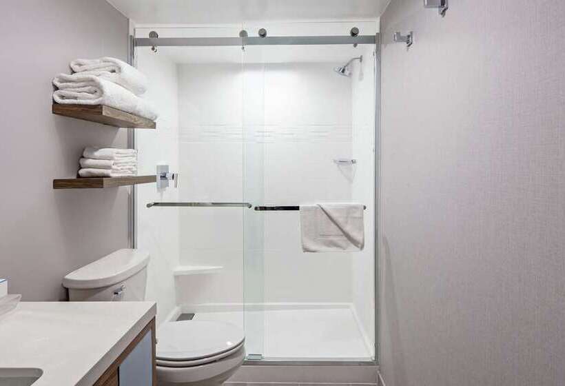 سوییت, Embassy Suites By Hilton Santo Domingo