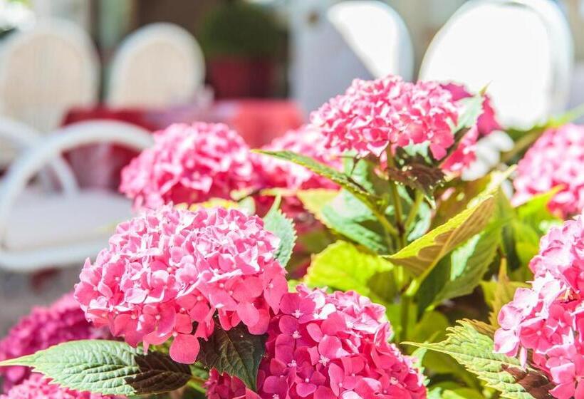 컴포트 룸, Garden