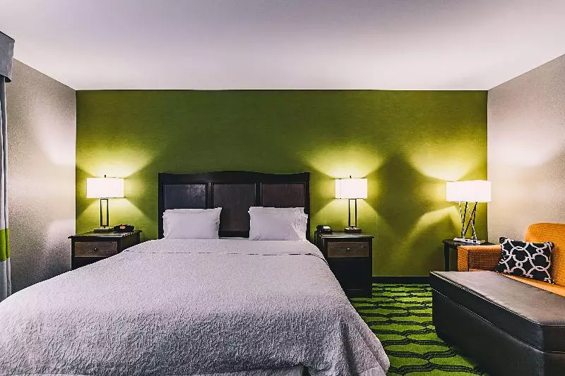 キングサイズベッドのスタンダードルーム, Hampton Inn Niagara Falls/blvd