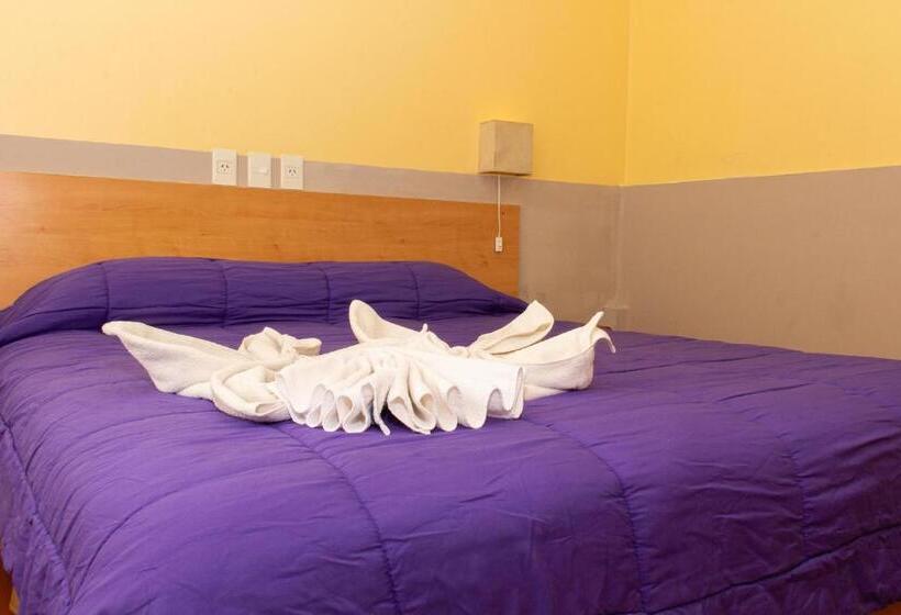 اتاق استاندارد, Tangoinn Hostel Downtown