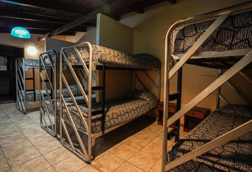 Кровать в Общей Комнате, Tangoinn Hostel Downtown