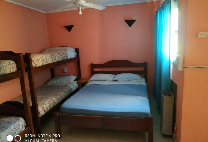Quarto Familiar, Danes
