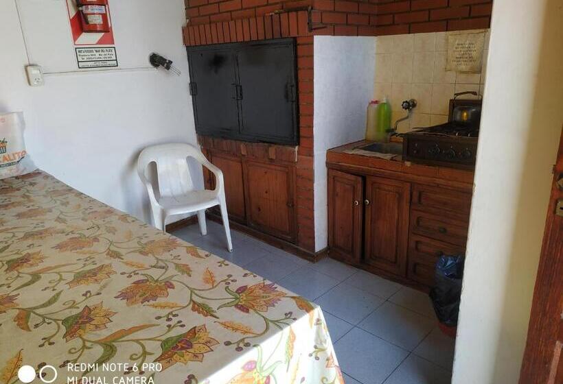 Apartamento 1 Dormitorio con Terraza, Danes