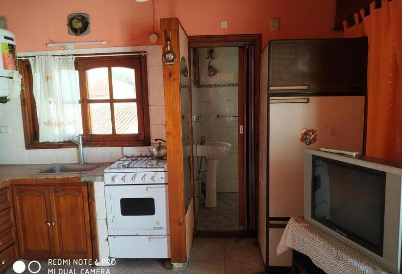 Apartamento 1 Dormitorio con Terraza, Danes