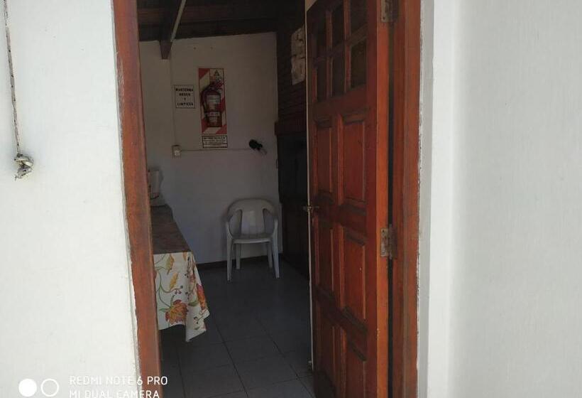 Apartamento 1 Dormitorio con Terraza, Danes